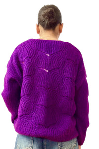 Cardigan pars wool